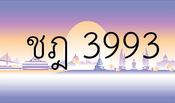 ชฎ 3993